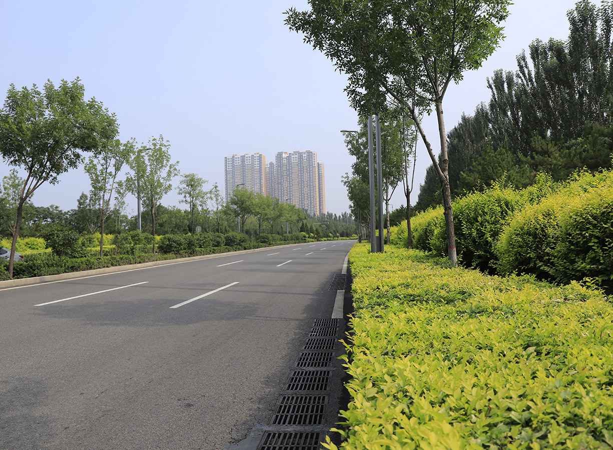 太原市阳兴大道道路景观绿化工程